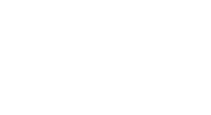 Footer Logo Alt